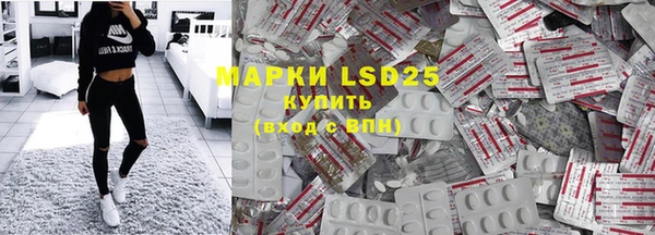 PSILOCYBIN Алзамай