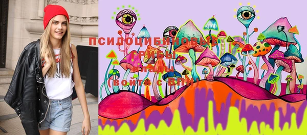 spice Ижевск