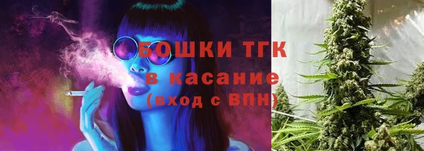 гашик Нягань